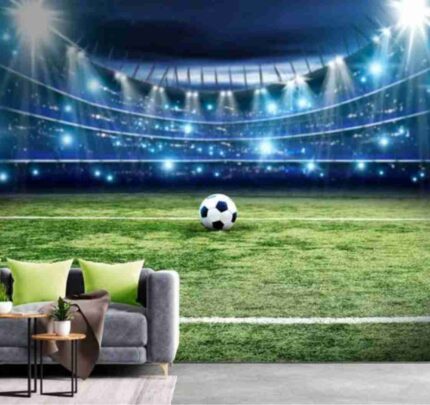 Stadium Football Experience
