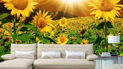 Sunflower Field Landscape