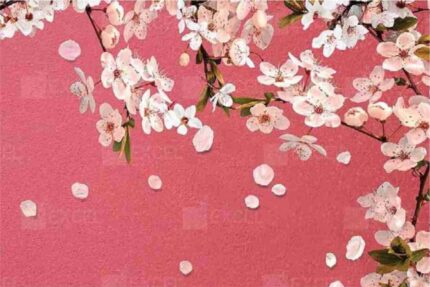 Cherry Blossom Petal Wall