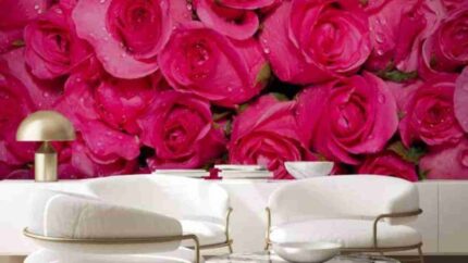 Rose Garden Wall Mural