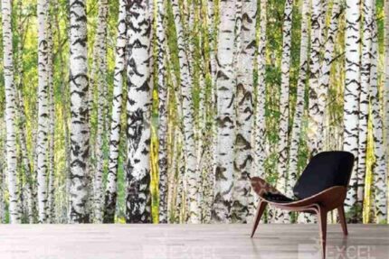 Birch Forest Nature Mural