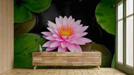 Lotus Serenity Wall Art
