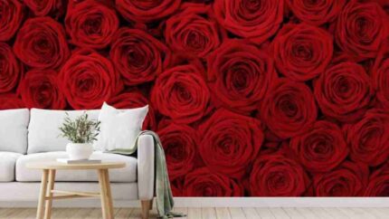 Royal Red Rose Statement