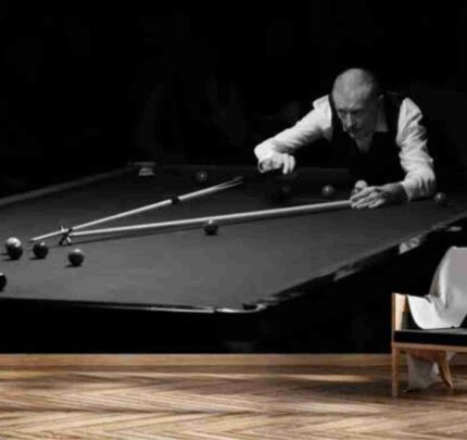 Classic Snooker Master Shot