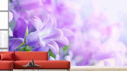 Lavender Dream Bloom