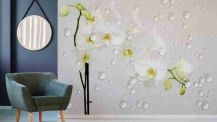 Orchid Dew Elegance