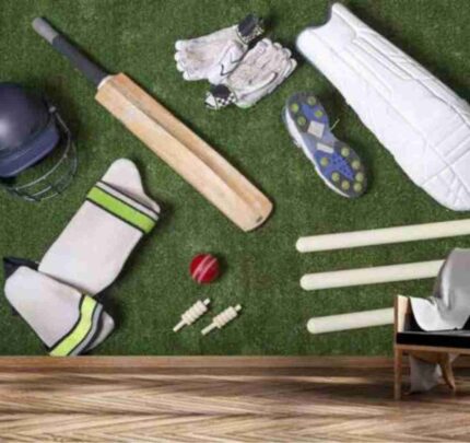 Cricket Power Stroke Art