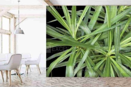 Vibrant Palm Leaf Accent Wall