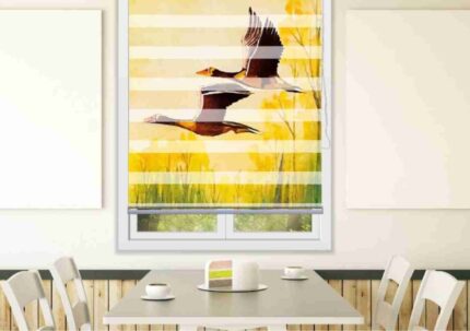 Sunset Flight Bird Blind